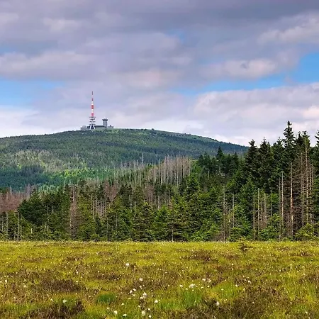 Am Steinberg * ゴスラー